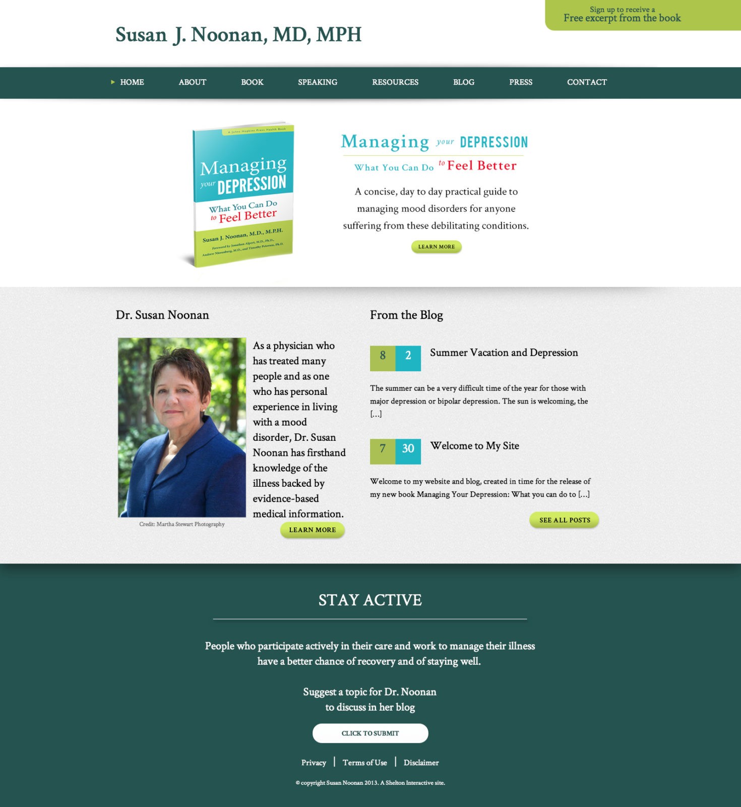 Shelton Interactive Site Build