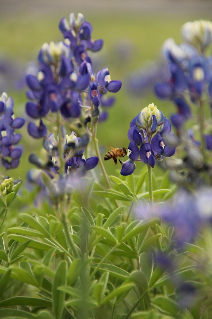 Pictures of the Outside Areas