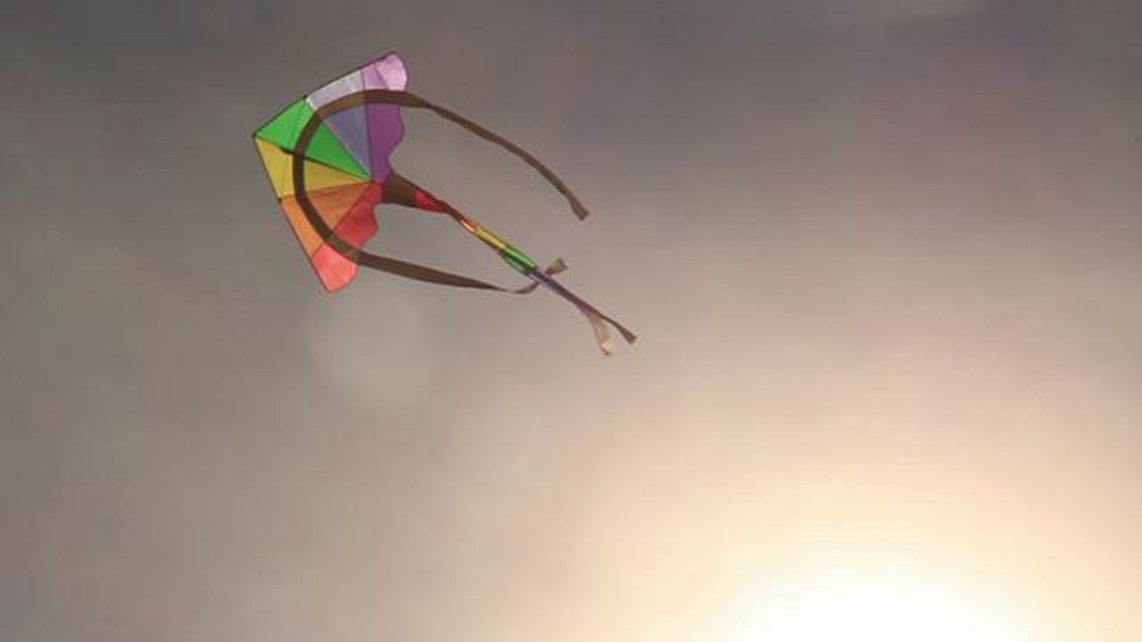 Zilker Kite Festival 2011